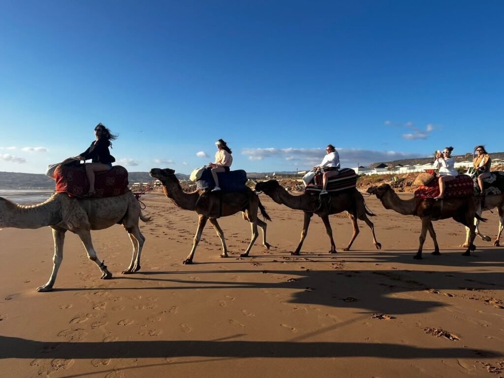 Camel riding in Agadir — a caravan of camels and riders crossing the wet sand on the beach
