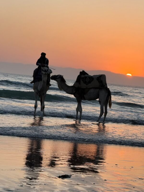 Sunset camel ride near Taghazout — two camels and riders at the waterline as the sun drops into the Atlantic