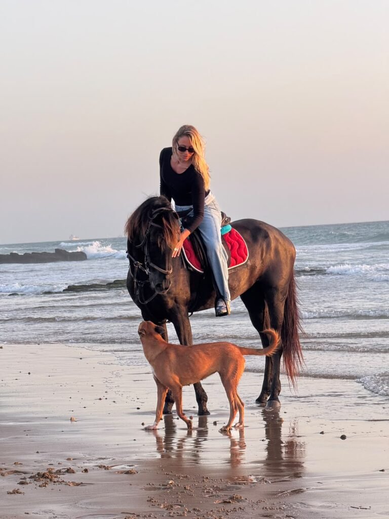 Horse riding near Agadir — a rider at the waterline on the rocky shoreline between Aourir and Taghazout
